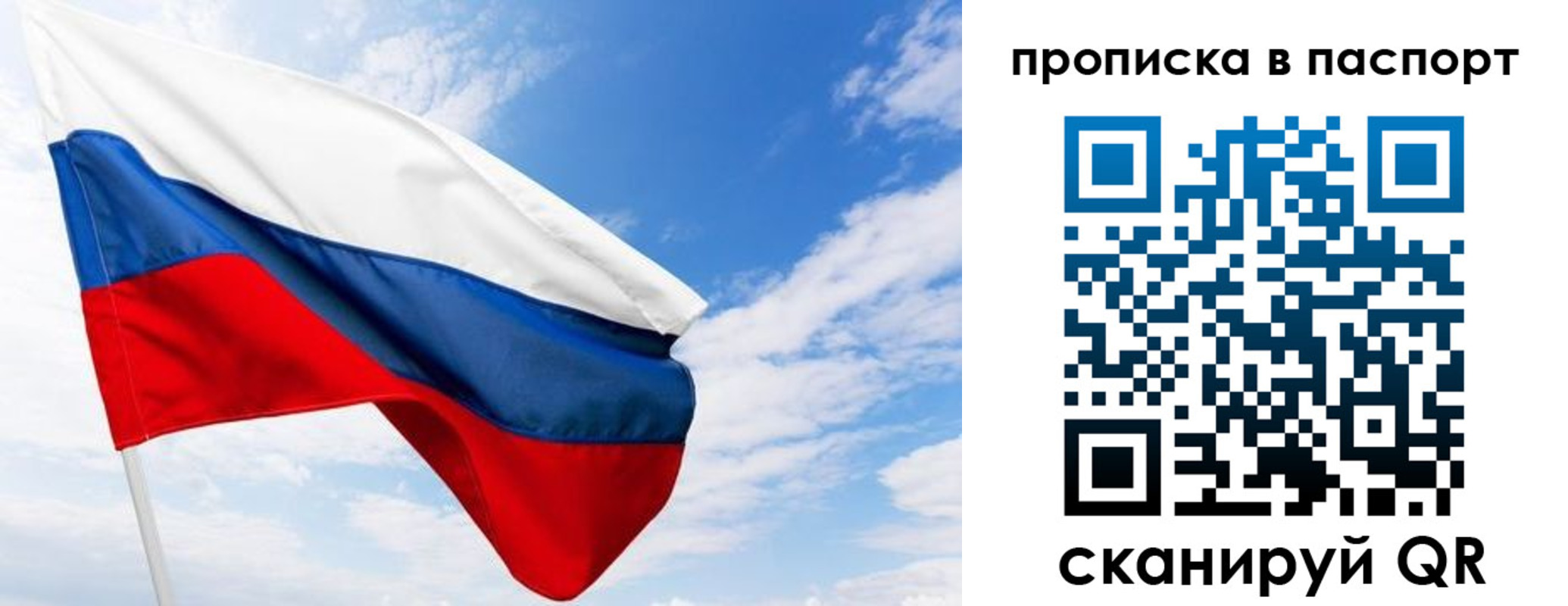 прописка поиск в Калининградской области